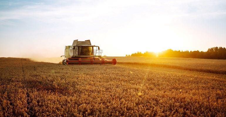 Otimizando a colheita de grãos: o cuidado com as Máquinas Agrícolas