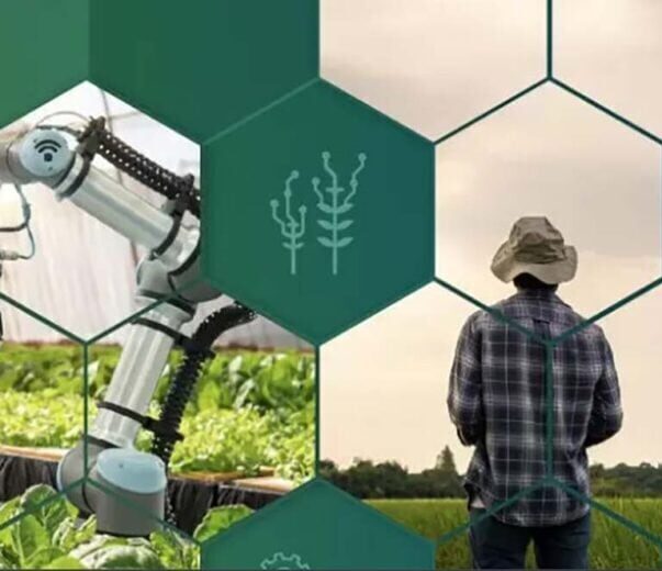 Agências dos EUA vão investir em projetos de pesquisa em robótica avançada na agricultura