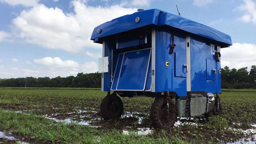 Google fechará sua startup de robôs agrícolas, Mineral