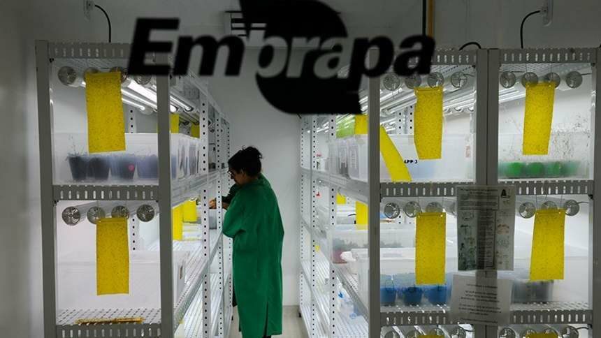 Fundo privado de R$300 milhões será criado para apoiar Pesquisa Agropecuária